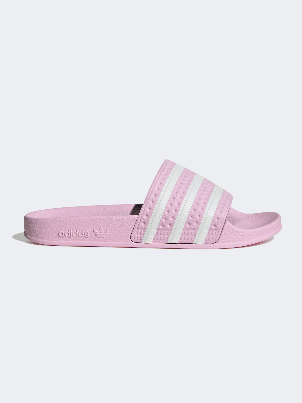 כפכפי SLIDE ADILETTE / נשים